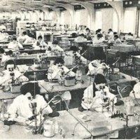 Atelier de fabrication de transistors à SESCO, usine de Saint-Égrève, (vers 1958)
